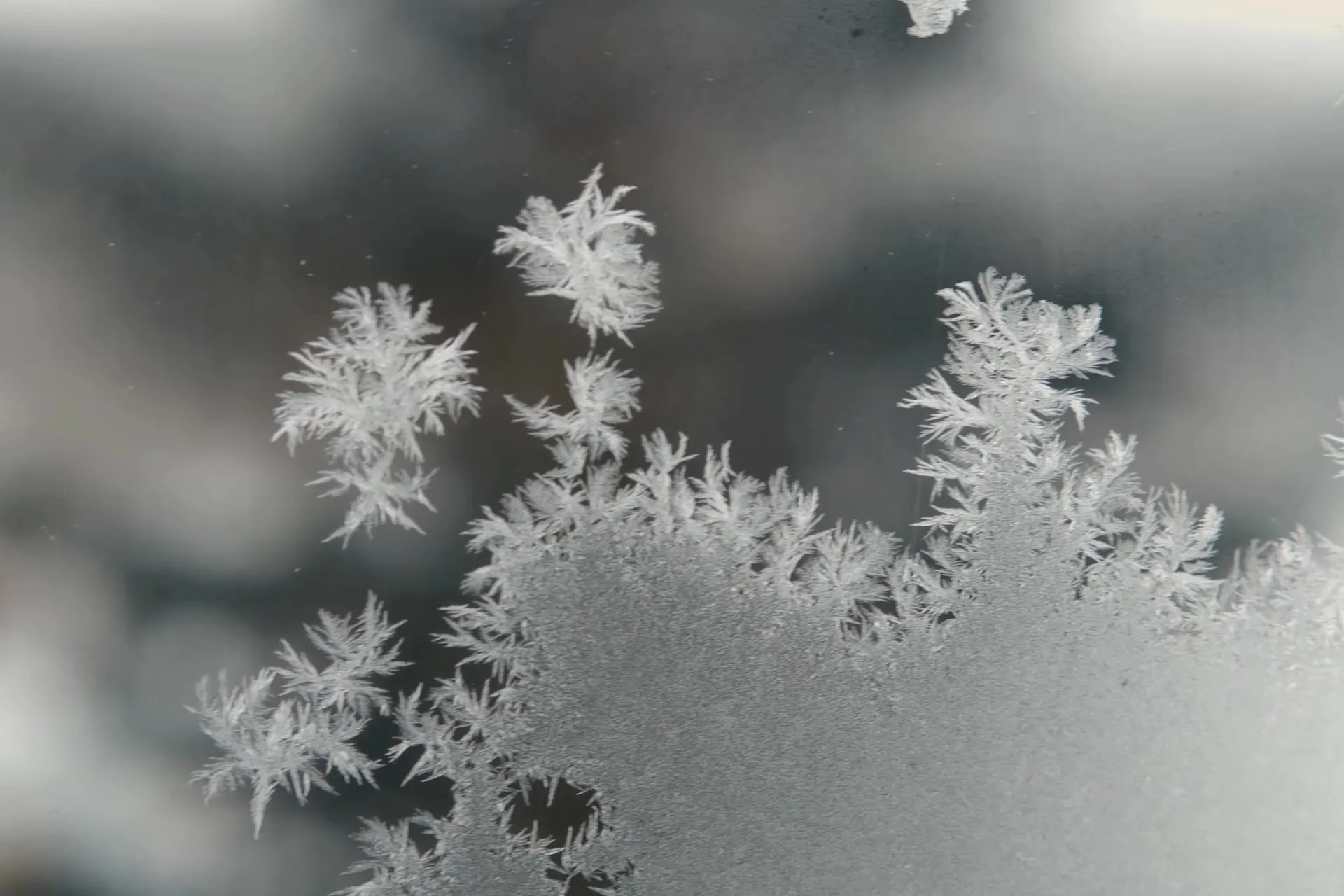 Givre se formant sur une vitre